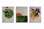 Wallity UDC17 Lienzo Decorativo de 3 Piezas Multicolor